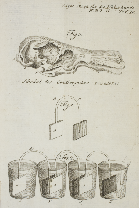 Voigts Magz. für die Naturkunde II. B. 2. St Taf. IV.xxx
						